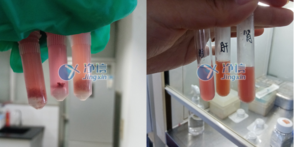 1638870692199726.jpg 39.jpg