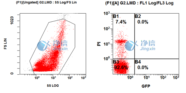 1638870747783573.jpg 40.jpg