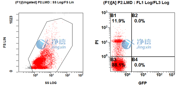 1638870755359842.jpg 41.jpg