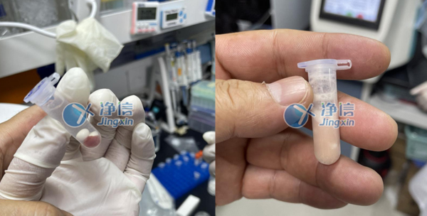 1640158553148347.jpg 18-1.jpg