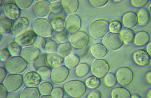 1641349813179992.png 29.png