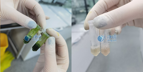 1654509383115626.jpg 16.jpg