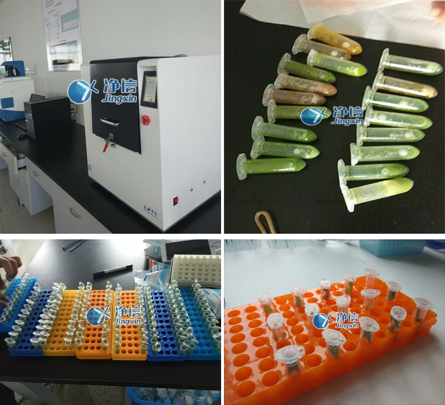 1654660470631299.png 704156392779.png